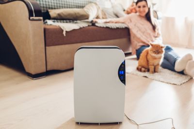 Dehumidifier Replacement in Kansas City, MO